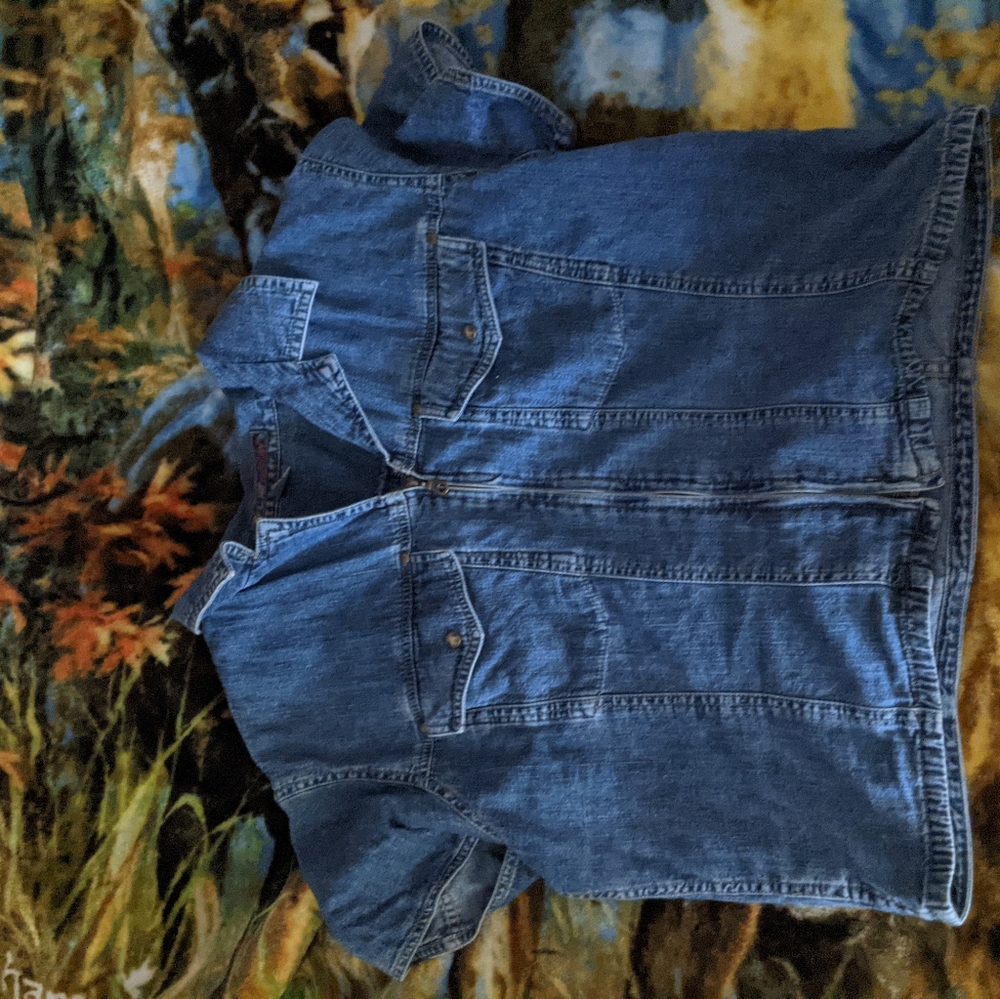 Liz wear denim top